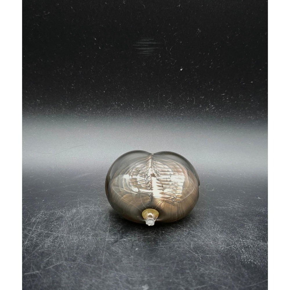 Robert Burch Hand Blown Glass Heart Paperweight Amber Grey Controlled‎ Bubble 3"
